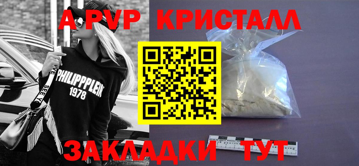 Альфа ПВП СК КРИС Махачкала