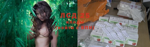 скорость Шадринск