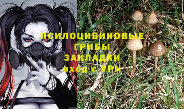 скорость Шадринск