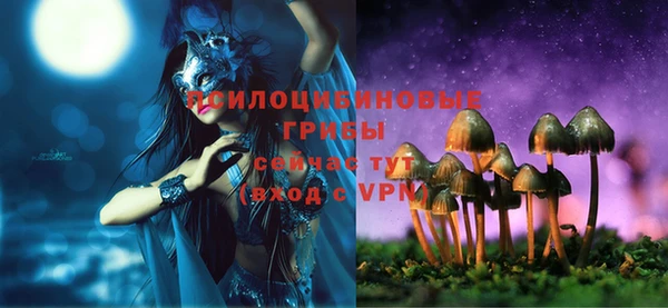 мяу мяу мука Шарыпово