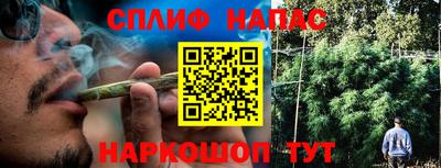 твердый Гусев