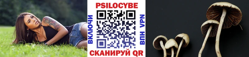 Псилоцибиновые грибы мухоморы  Махачкала 
