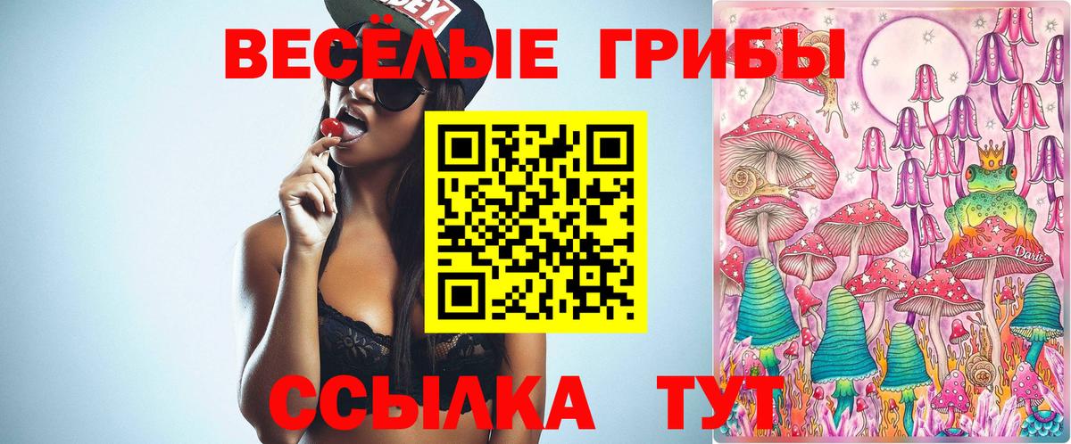 Галлюциногенные грибы мицелий  закладка  Махачкала 