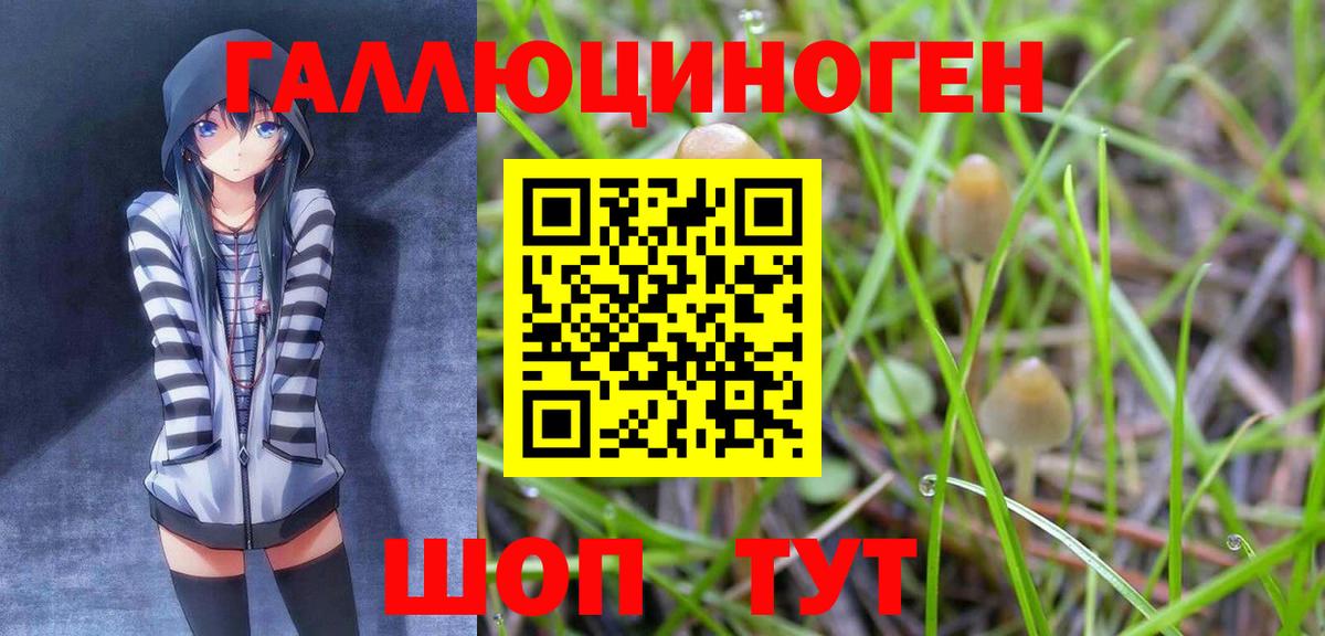 Галлюциногенные грибы GOLDEN TEACHER  Галлюциногенные грибы прущие грибы  Махачкала  Вход с VPN 
