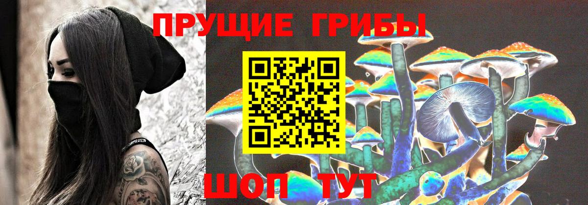 Псилоцибиновые грибы ЛСД Махачкала